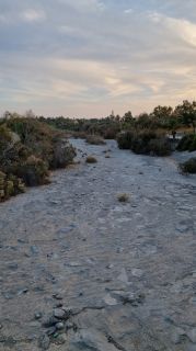 2023-11-GranCan-Maspalomas_Oasis-58.jpg